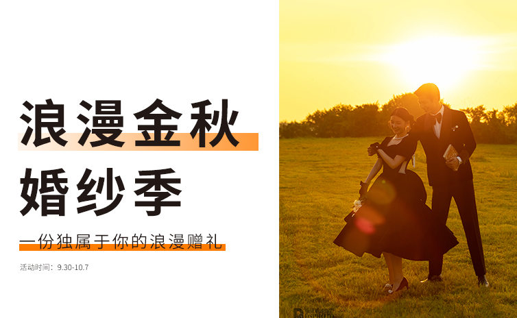 十一